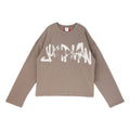 Air Jordan M J IH Jmpan LS Tee (Cave Stone)