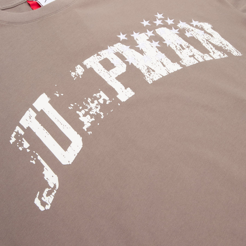 Air Jordan x IH T-Shirt (Cave Stone)