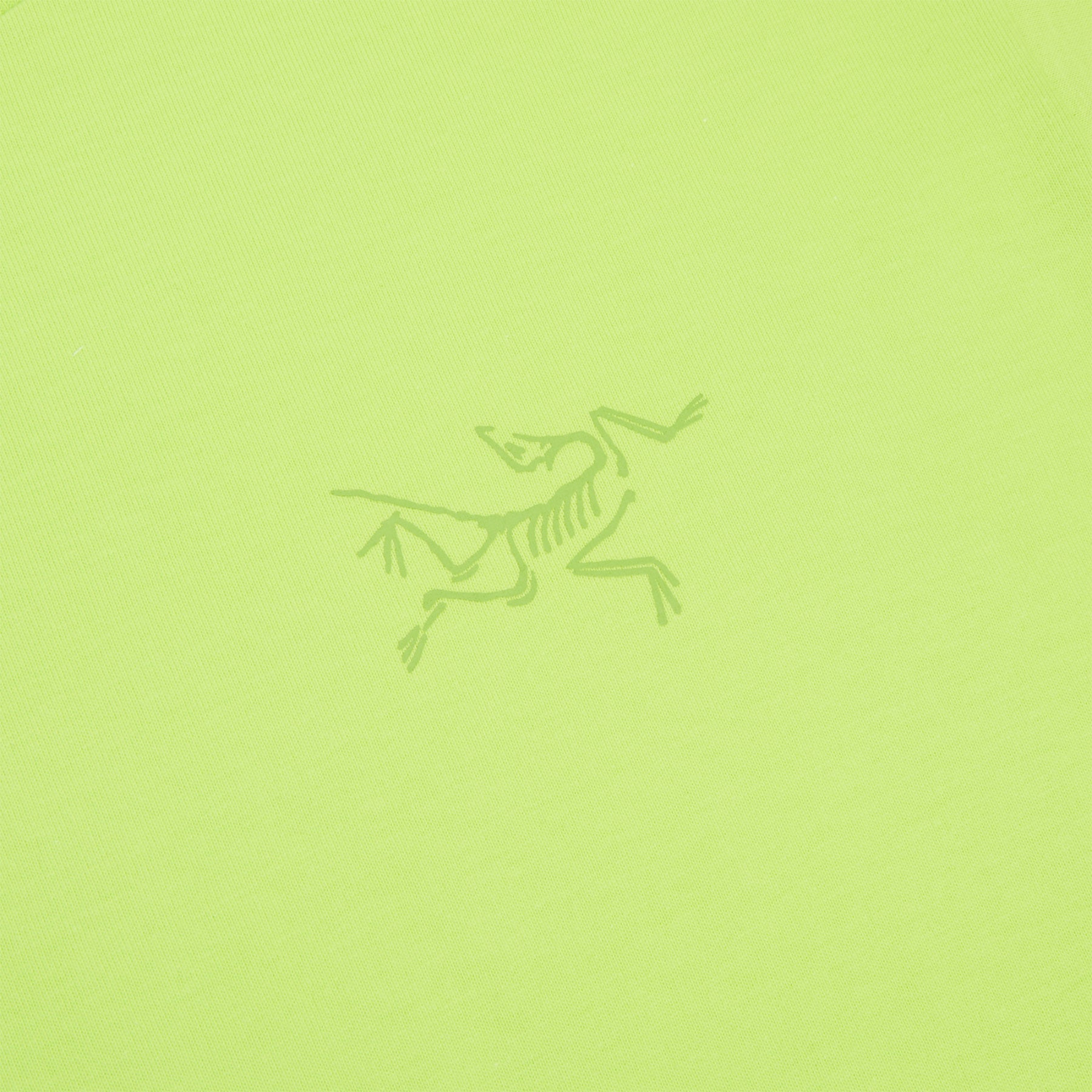 Arc'teryx Kragg Cotton LS M (Mantis)